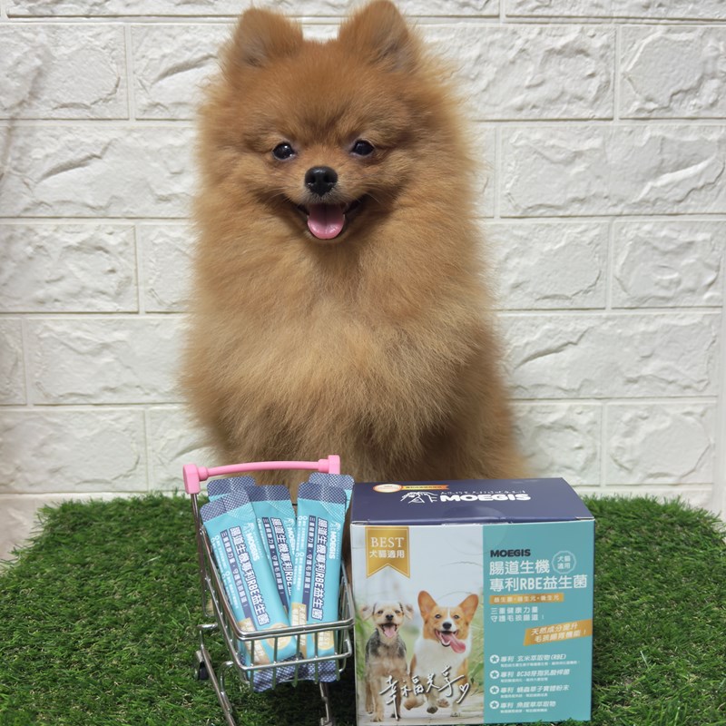 女人知己試用大隊,口碑行銷,部落客行銷,Moegis萌吉 腸道生機專利RBE益生菌,寵物益生菌,專利RBE益生元,專利蔬果酵素,小分子胜肽,藍藻粉,維持免疫力,幫助維持消化道機能,維持正常食慾,改變細菌叢生態,腸胃保健,犬貓適用